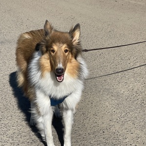 Fundraising Page: Frances Anamosa